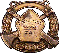 badge for hose carriage in NYC